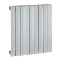 Radiateur fonte rideau